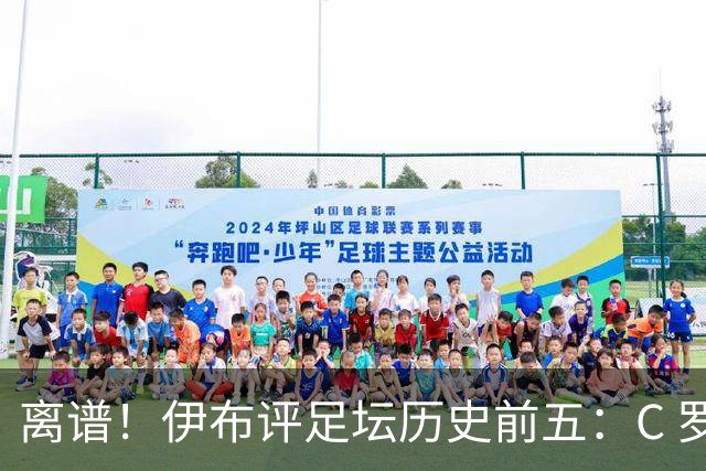 离谱！伊布评足坛历史前五：C 罗落选，梅西无缘第一